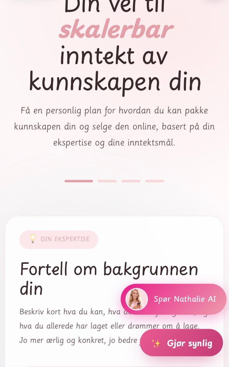 Skjermbilde av Inntektskalkulator