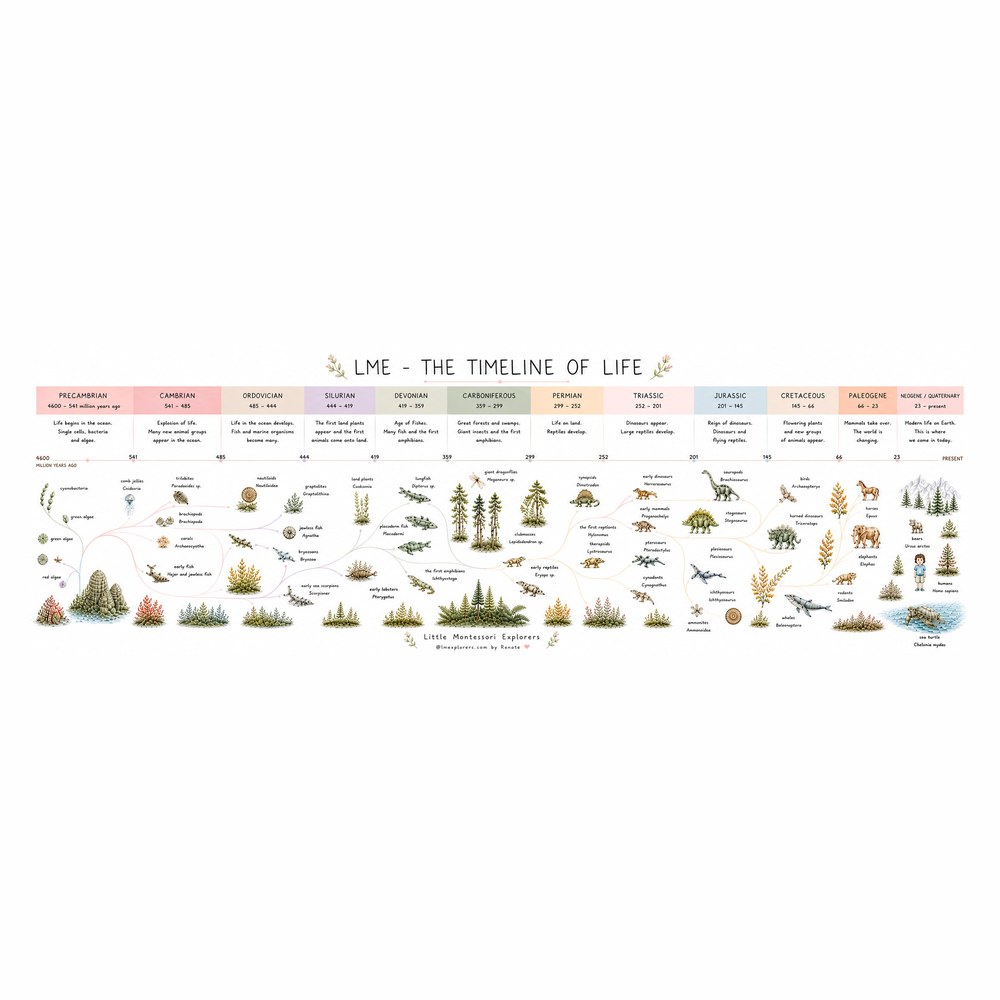 Timeline of Life, complete pack
